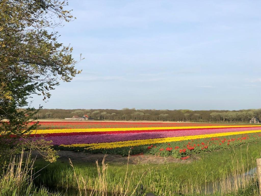 Meno Mosso Vila Sint Maartensvlotbrug Exterior foto